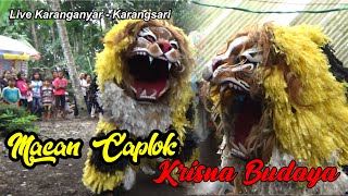 NDADI MACAN CAPLOK KRISNA BUDAYA LIVE KARANGANYAR KARANGSARI