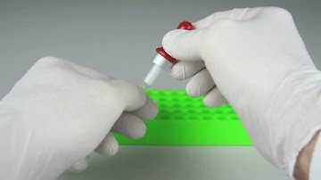 How to use the Cap Puncher with EchoLUTION DNA Extraction Kits with voice