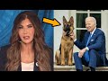 Kristi Noem wants Biden&#39;s dog killed. YOU READ THAT RIGHT