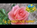 تسميد ورد الجوري ج1 