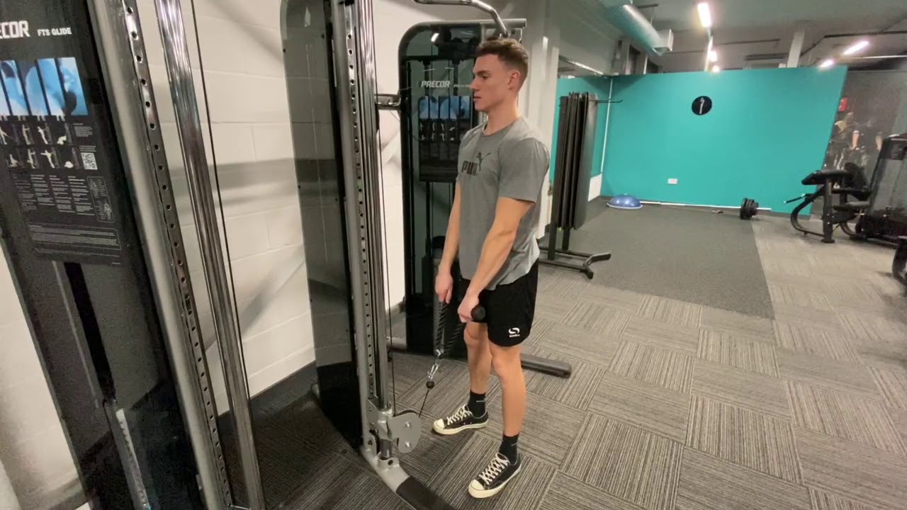 Cable upright row (rope attachment) YouTube