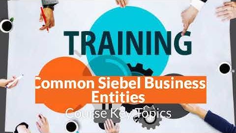 SIEBEL CRM Business Analyst  2 Months weekend class OR 5 Days Boot camp