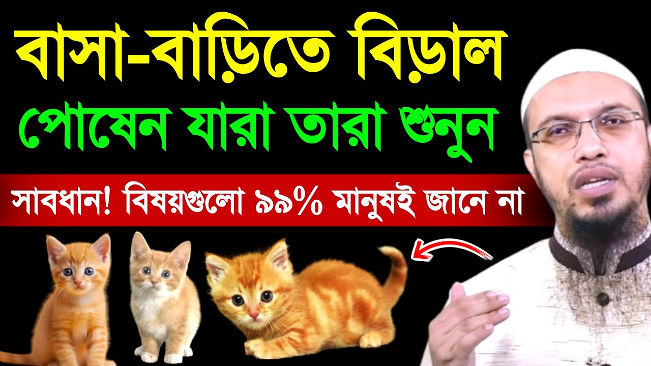 বাড়িতে বিড়াল পালন করেন যারা তারা শুনুন | শায়খ আহমাদুল্লাহ | shaikh ahmadullah | waz 2025