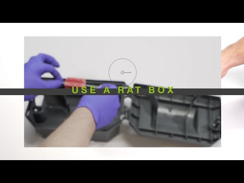How to use a Bait Station (Rat Box)