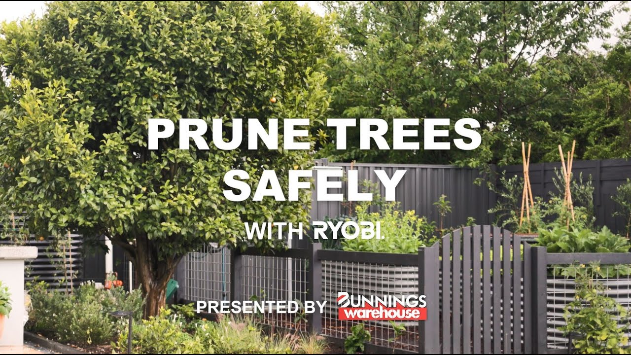 How to prune trees safely with Ryobi YouTube