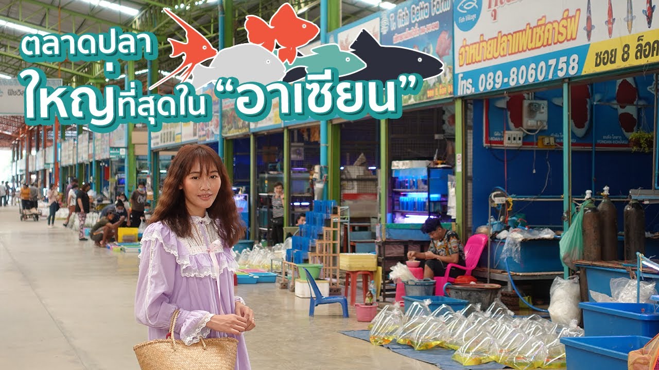 VLOG #3 ตลาดปลา บ้านโป่ง (Fish Village) ราชบุรี​