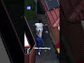 Man arrested in triple murder investigation  | 9 News Australia