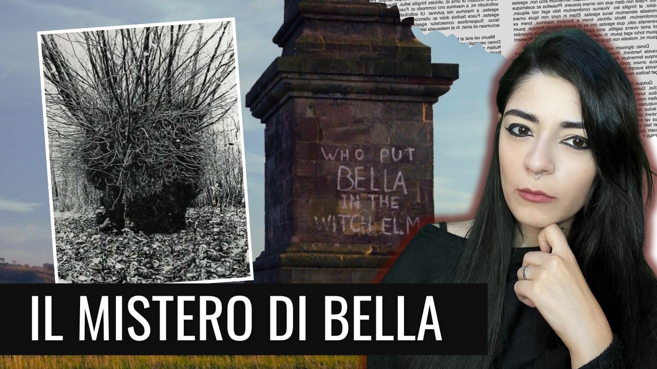 CHI HA MESSO UNA DONNA ALL'INTERNO DI UN ALBERO?