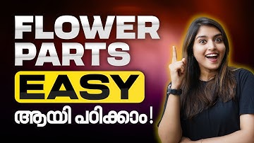 Class 6 Basic Science | Flowering and Fruiting | പൂക്കാം കായ്ക്കും | Flower Parts | Exam Winner