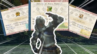 Mhp3rd Experience