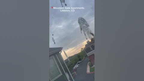 Littleton tenants feel trapped by bird infestation “nightmare”