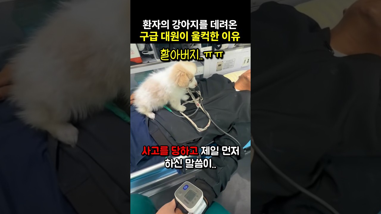 환자의 강아지를 데려온 구급대원이 울컥한 이유