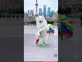 Shanghai Beach Encountered A Samoyed Wearing A Rainbow Skirt And Its Smile Was Brighter Than FARAN Shanghai Beach Encountered A Samoyed Wearing A Rainbow Skirt And Its Smile Was Brighter Than FARAN