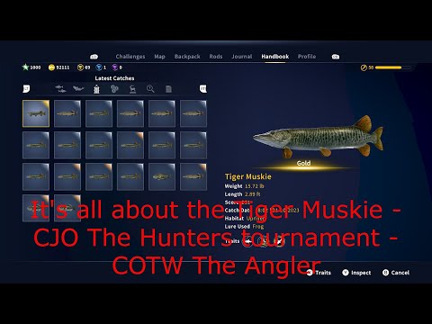 All about the Tiger Muskie - @cjothehunter tournament - COTW The Angler 