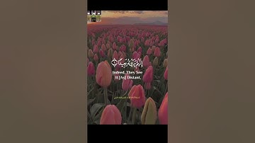 خيركم من تعلم القرآن وعلمه #تلاوات #قران_كريم #تلاوة_هادئة #قرآن #تلاوةخاشعة .