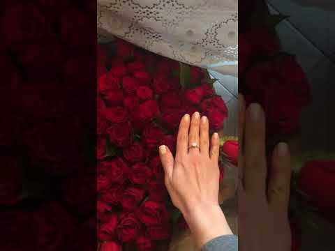 101 роза 🌹