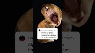 suscribance a el
