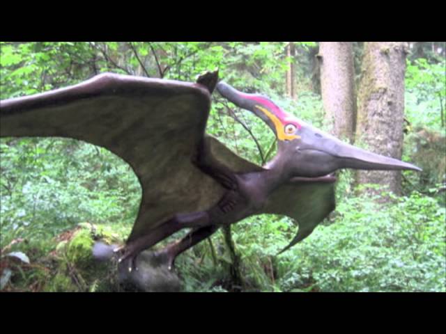 Pterodactyl youtube Clearance