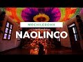 Video de Naolinco