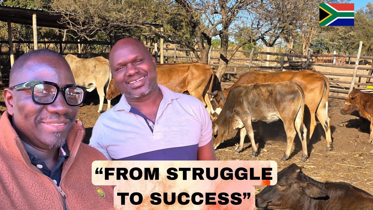 👉 “Africa’s Real Wealth | Land, Farming & Black Excellence in South Africa”