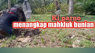 Menangkap mahkluk bunian dihutan jati