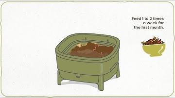 A worm farm for your flat – how to compost in a flat