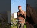 3 trucchi per avere limoni perfetti in vaso con @albagarden38 #mattthefarmer #adv