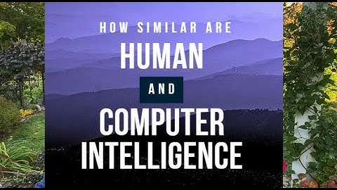 How similar are human and computer intelligence