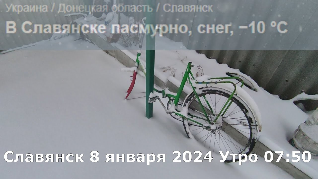 Общество снега 2024