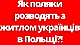 Як поляки розводять з житлом українців в Польщі?!