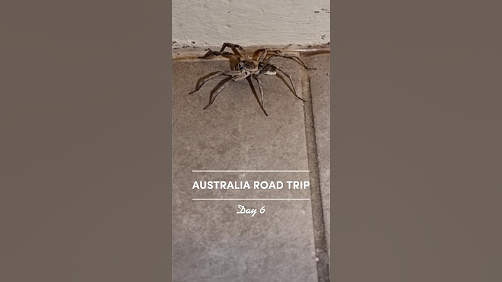 Day 6: stranded in the outback with no car or tent #outback #australia #roadtrip #shorts #travel