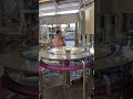 Rotary pure water 5L bottle filling machine filling production line