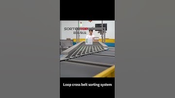 Loop cross belt sorting system