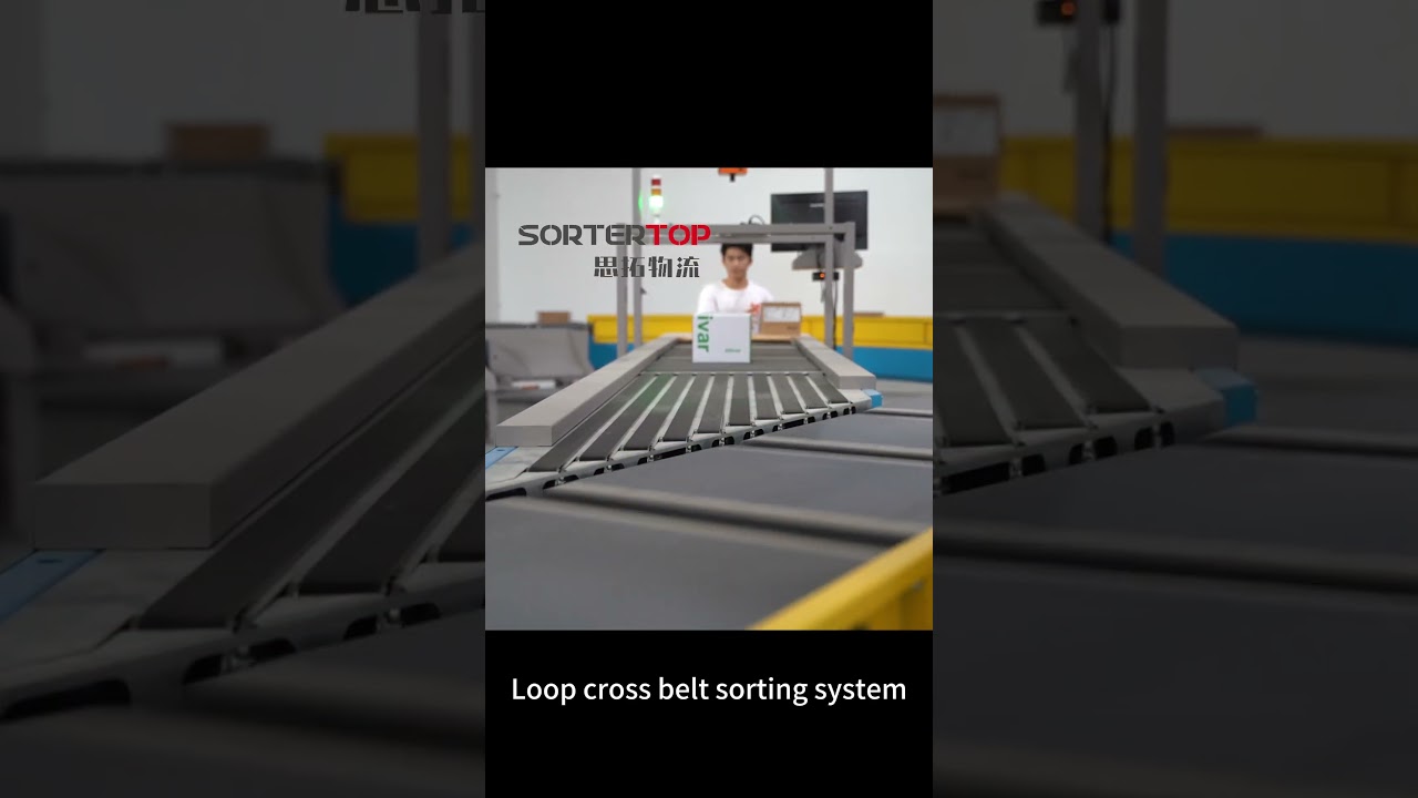 Loop cross belt sorting system