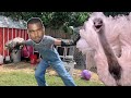 Kanye Saves an Opossum from Kevin!? *not clickbait*