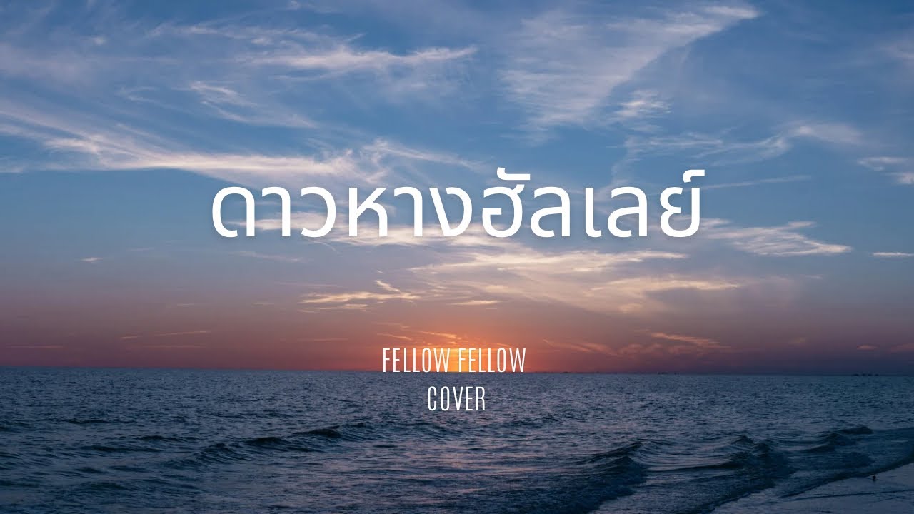 ดาวหางฮัลเลย์ - Fellow Fellow [ COVER ] - YouTube