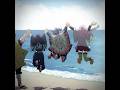 #demonslayer #fypシ゚viral #viral #trending #edit #shorts #obanai #mitsurikanroji #shinobu #uzui