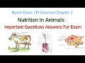 important Questions Answers  class 7th| nutrition in animals| ncert class 7th science chapter 2