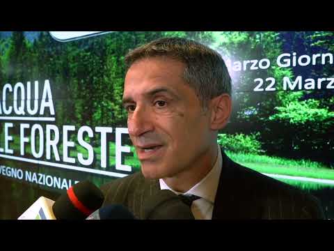Acqua e foreste: patto di alleanza per la loro tutela tra Aqp, Carabinieri e Sirf - Pentassuglia