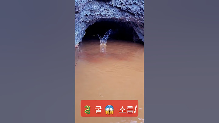 용이냐 이무기냐 동굴속 ᆢ