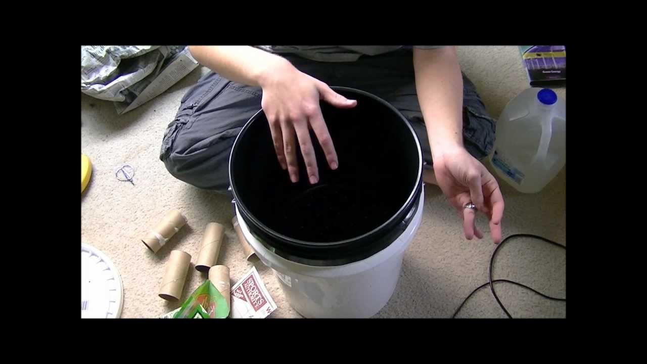 How To Set Up a Worm Bin - YouTube