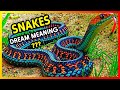 What does it mean to dream about SNAKES ???