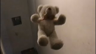 Bear Version Ruler Of Everything