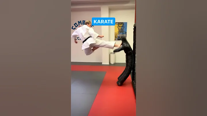 Karate vs. Ameridote 👊 - DayDayNews