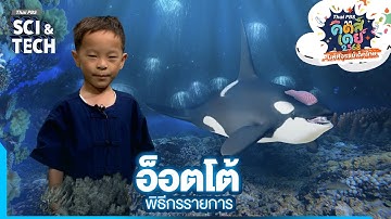 น้องอ็อตโต้ | ทดลองเป็น YouTuber ตัวจิ๋ว | Thai PBS คิดส์เดย์ 2568 "มหัศจรรย์เด็กไทย"