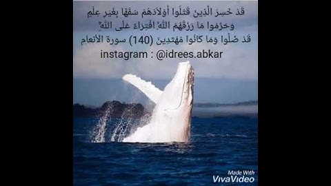 قد خسر الذين قتلوا أولادهم سفهاً بغير علم#تلاوة للقاريء الشيخ_إدريس_أبكر من#سورة_الأنعام