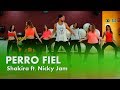 PERRO FIEL - Shakira ft Nicky Jam - Coreografía para zumba - William Morales PERRO FIEL - Shakira ft Nicky Jam - Coreografía para zumba - William Morales