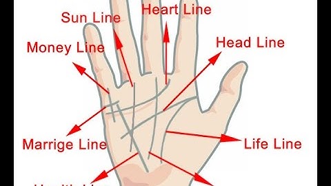 Read Your Own Palm To Predict Your Love Life | Secrets Revealed in Your Palm - How to Read Palm