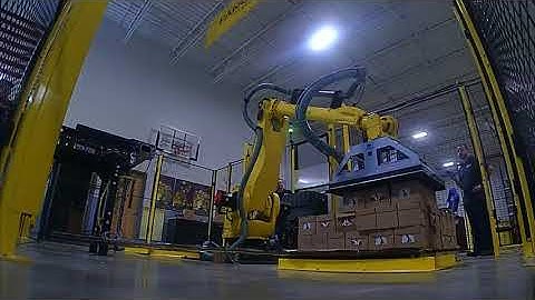 Robotic Box Palletizer | Exact Automation