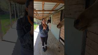 ​بابا جاب لي بالون - جنى مقداد طيور بيبي Şfet